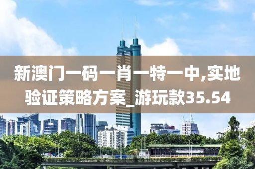 新澳門一碼一肖一特一中,實地驗證策略方案_游玩款35.54