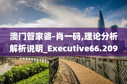澳門管家婆-肖一碼,理論分析解析說明_Executive66.209