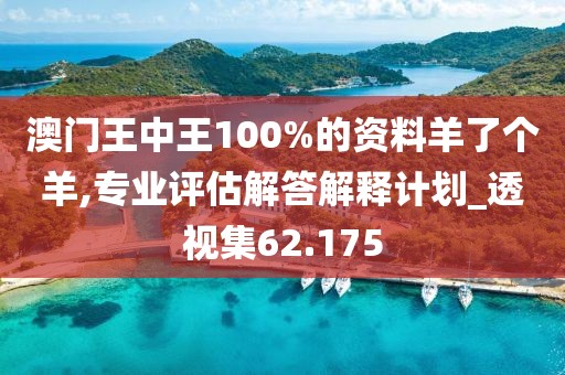 澳門王中王100%的資料羊了個羊,專業評估解答解釋計劃_透視集62.175