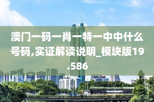 澳門一碼一肖一特一中中什么號碼,實證解讀說明_模塊版19.586