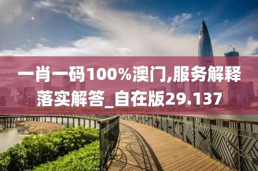 一肖一碼100%澳門,服務解釋落實解答_自在版29.137