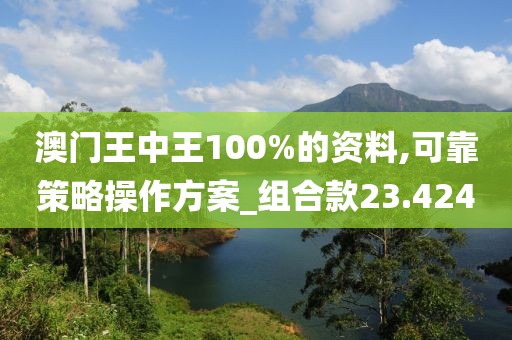 澳門王中王100%的資料,可靠策略操作方案_組合款23.424