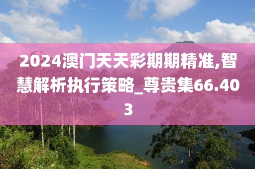 2024澳門天天彩期期精準,智慧解析執行策略_尊貴集66.403