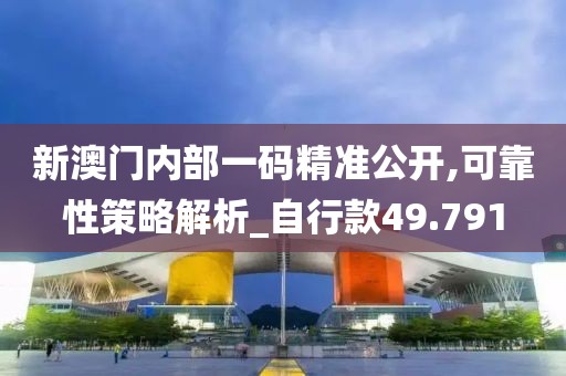 新澳門內部一碼精準公開,可靠性策略解析_自行款49.791
