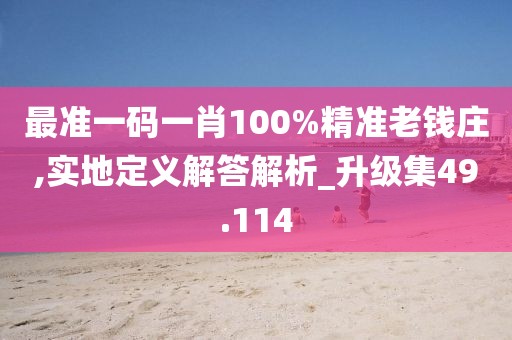 最準一碼一肖100%精準老錢莊,實地定義解答解析_升級集49.114