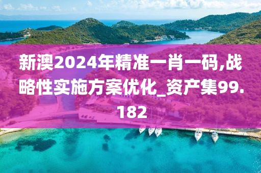 新澳2024年精準一肖一碼,戰略性實施方案優化_資產集99.182