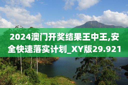 2024澳門開獎結果王中王,安全快速落實計劃_XY版29.921