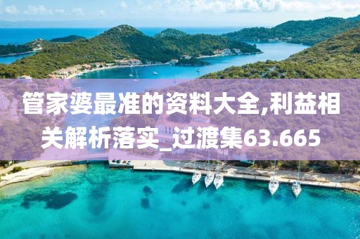 管家婆最準的資料大全,利益相關解析落實_過渡集63.665