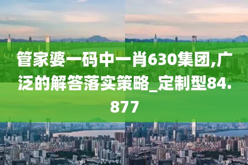 管家婆一碼中一肖630集團,廣泛的解答落實策略_定制型84.877