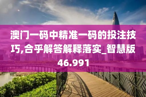 澳門一碼中精準一碼的投注技巧,合乎解答解釋落實_智慧版46.991