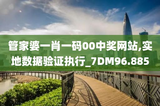 管家婆一肖一碼00中獎網站,實地數據驗證執行_7DM96.885
