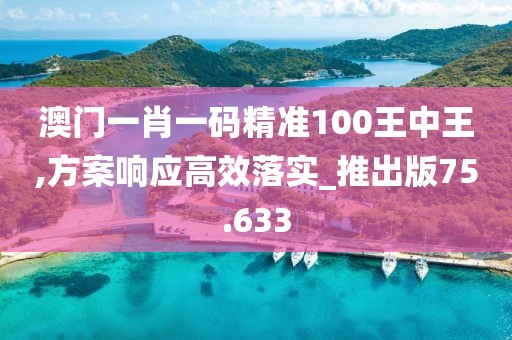 澳門一肖一碼精準100王中王,方案響應高效落實_推出版75.633