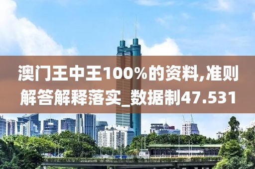 澳門王中王100%的資料,準則解答解釋落實_數據制47.531