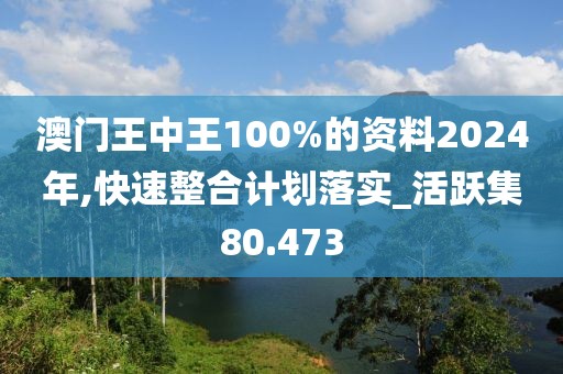 澳門王中王100%的資料2024年,快速整合計劃落實_活躍集80.473