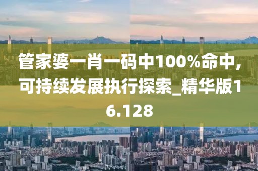 管家婆一肖一碼中100%命中,可持續發展執行探索_精華版16.128