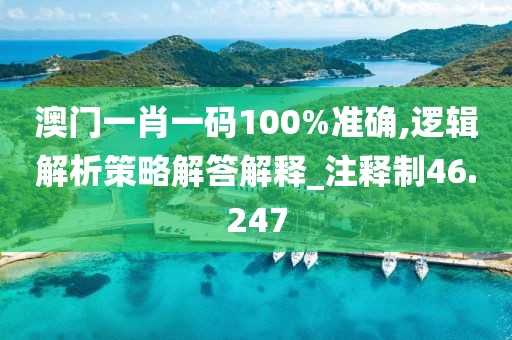 澳門一肖一碼100%準確,邏輯解析策略解答解釋_注釋制46.247