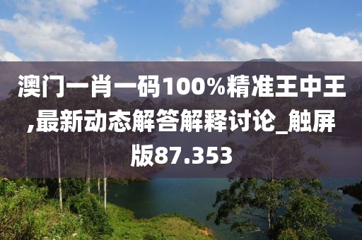 澳門一肖一碼100%精準王中王,最新動態解答解釋討論_觸屏版87.353
