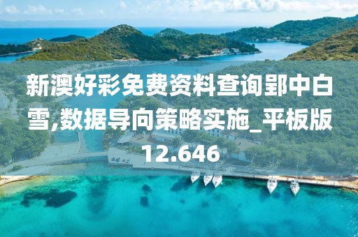 新澳好彩免費資料查詢郢中白雪,數據導向策略實施_平板版12.646