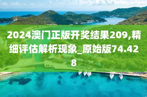 2024澳門正版開獎結果209,精細評估解析現象_原始版74.428