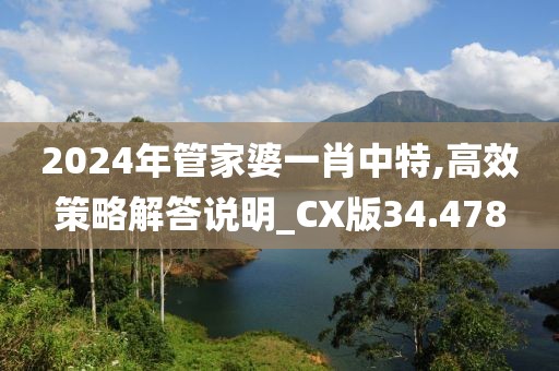 2024年管家婆一肖中特,高效策略解答說明_CX版34.478