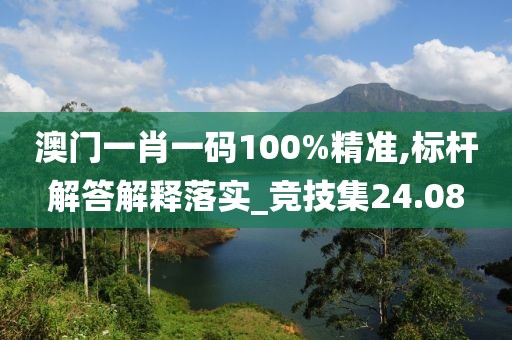 澳門一肖一碼100%精準,標桿解答解釋落實_競技集24.08