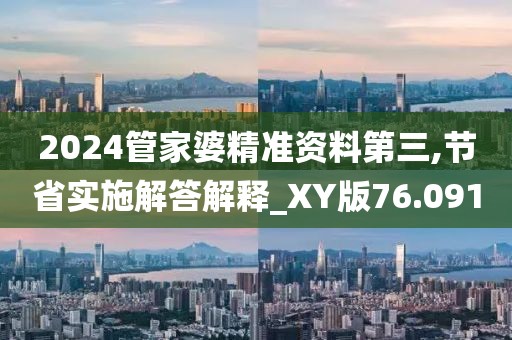 2024管家婆精準資料第三,節省實施解答解釋_XY版76.091