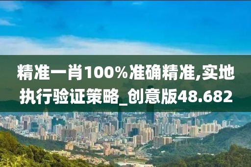精準一肖100%準確精準,實地執行驗證策略_創意版48.682