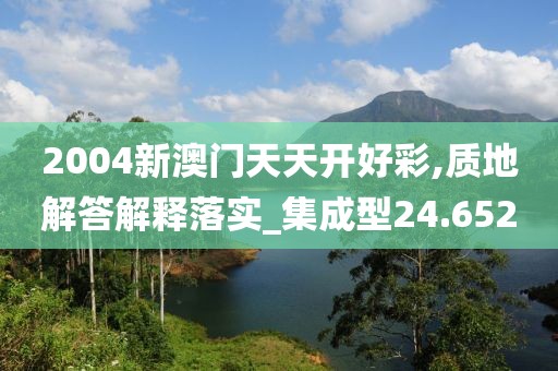 2004新澳門天天開好彩,質地解答解釋落實_集成型24.652