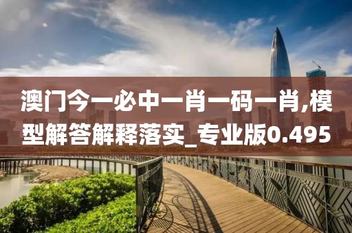 澳門今一必中一肖一碼一肖,模型解答解釋落實_專業版0.495