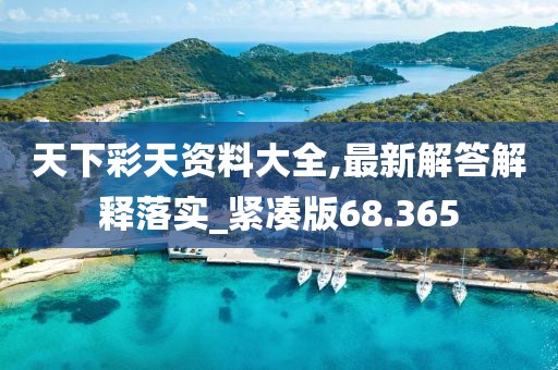 天下彩天資料大全,最新解答解釋落實_緊湊版68.365