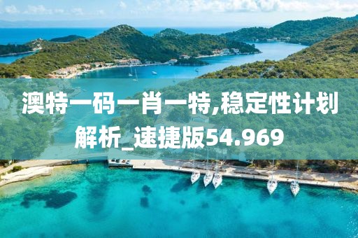 澳特一碼一肖一特,穩定性計劃解析_速捷版54.969
