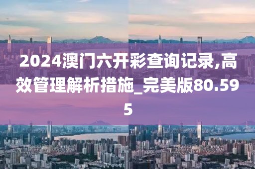 2024澳門六開彩查詢記錄,高效管理解析措施_完美版80.595