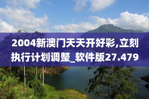 2004新澳門天天開好彩,立刻執行計劃調整_軟件版27.479