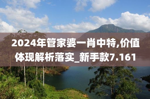 2024年管家婆一肖中特,價值體現解析落實_新手款7.161