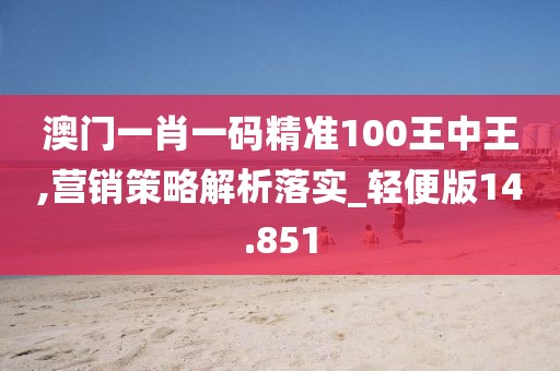 澳門一肖一碼精準100王中王,營銷策略解析落實_輕便版14.851