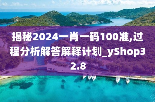揭秘2024一肖一碼100準,過程分析解答解釋計劃_yShop32.8