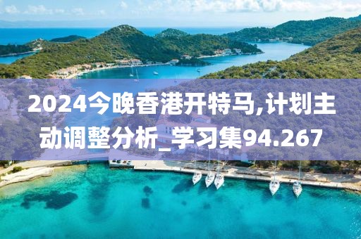 2024今晚香港開特馬,計劃主動調整分析_學習集94.267