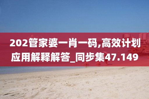 202管家婆一肖一碼,高效計劃應用解釋解答_同步集47.149