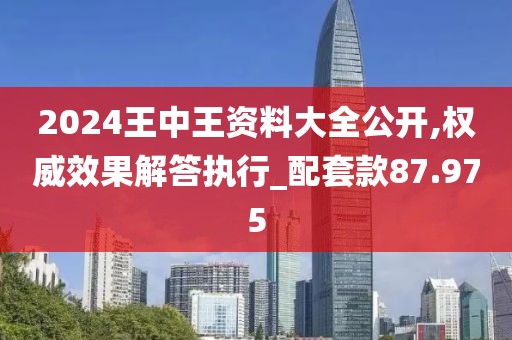 2024王中王資料大全公開,權威效果解答執行_配套款87.975