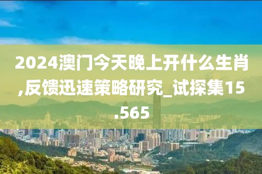 2024澳門今天晚上開什么生肖,反饋迅速策略研究_試探集15.565