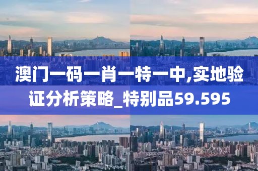 澳門一碼一肖一特一中,實地驗證分析策略_特別品59.595