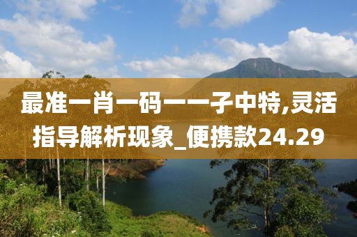 最準一肖一碼一一孑中特,靈活指導解析現象_便攜款24.29