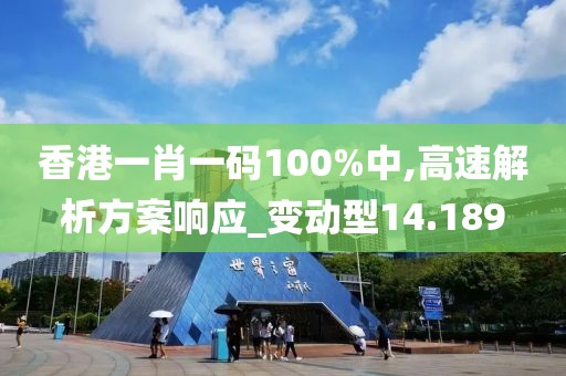 香港一肖一碼100%中,高速解析方案響應_變動型14.189