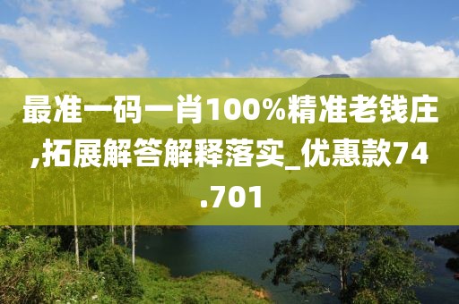 最準一碼一肖100%精準老錢莊,拓展解答解釋落實_優惠款74.701