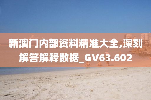 新澳門內部資料精準大全,深刻解答解釋數據_GV63.602