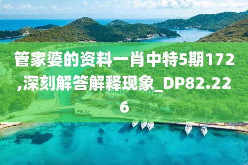 管家婆的資料一肖中特5期172,深刻解答解釋現象_DP82.226