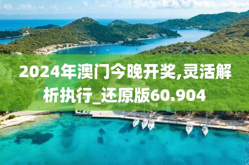 2024年澳門今晚開獎,靈活解析執行_還原版60.904
