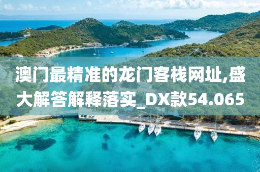 澳門最精準的龍門客棧網址,盛大解答解釋落實_DX款54.065