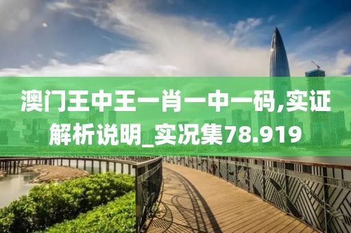 澳門王中王一肖一中一碼,實證解析說明_實況集78.919