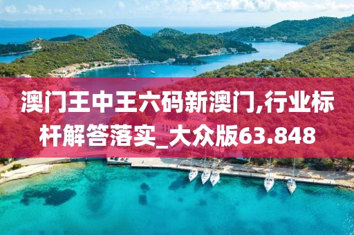 澳門王中王六碼新澳門,行業標桿解答落實_大眾版63.848